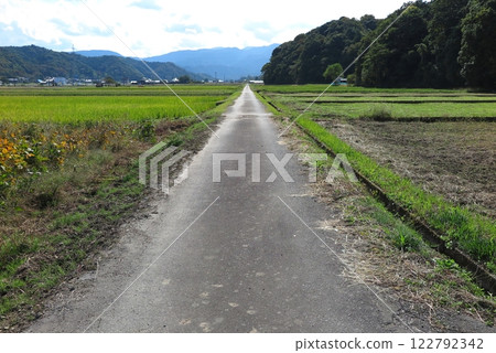 一條筆直的農路穿過田野 一條筆直的農路穿過田野 122792342