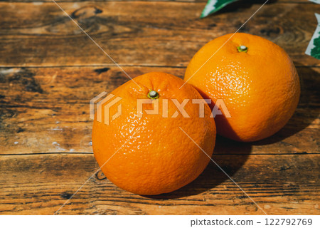 伊予柑：愛媛郡特產，味道濃鬱的柑橘類水果 122792769