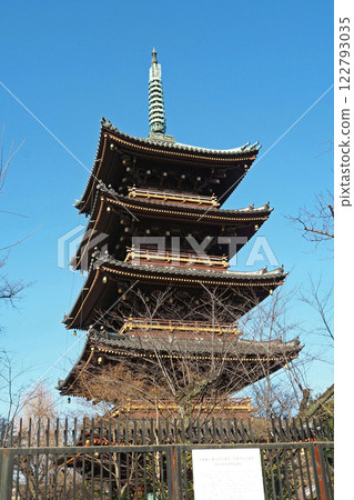Five-story pagoda at Ueno Toshogu Shrine [Taito Ward, Tokyo] 122793035