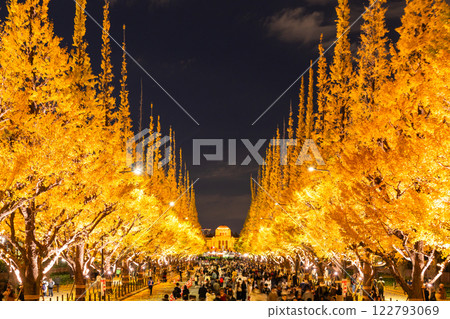 《東京》銀杏樹的點亮,神宮外苑 《東京》銀杏樹的點亮,神宮外苑 122793069