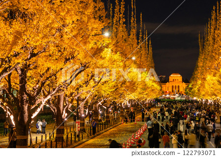《Tokyo》Light-up of ginkgo trees, Jingu Gaien 122793071