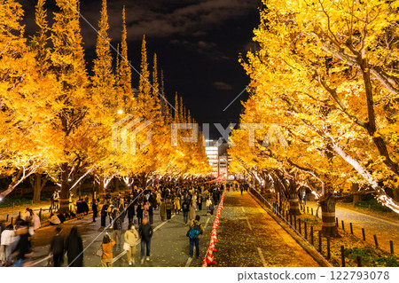 《Tokyo》Light-up of ginkgo trees, Jingu Gaien 《Tokyo》Light-up of ginkgo trees, Jingu Gaien 122793078