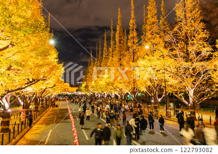 《東京》銀杏樹的點亮，神宮外苑 122793082