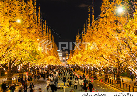 《Tokyo》Light-up of ginkgo trees, Jingu Gaien 122793083