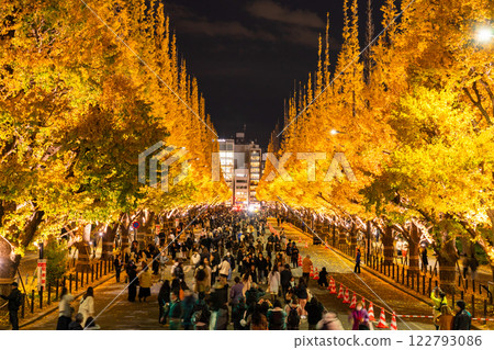 《Tokyo》Light-up of ginkgo trees, Jingu Gaien 《Tokyo》Light-up of ginkgo trees, Jingu Gaien 122793086