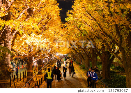 《東京》銀杏樹的點亮，神宮外苑 122793087