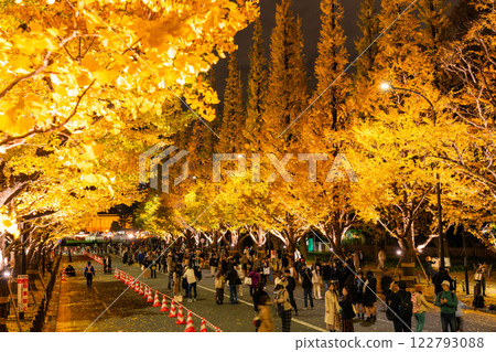 《Tokyo》Light-up of ginkgo trees, Jingu Gaien 122793088