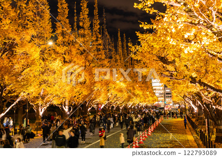 《東京》銀杏樹的點亮，神宮外苑 122793089