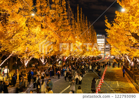 《Tokyo》Light-up of ginkgo trees, Jingu Gaien 《Tokyo》Light-up of ginkgo trees, Jingu Gaien 122793090