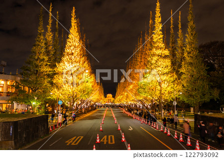 《Tokyo》Light-up of ginkgo trees, Jingu Gaien 122793092