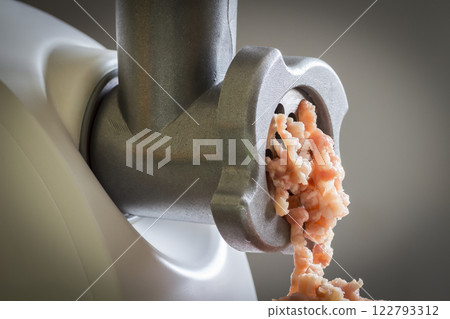 The meat mincer of The meat mincer of 122793312
