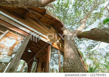 Wooden tree cabin 122793481