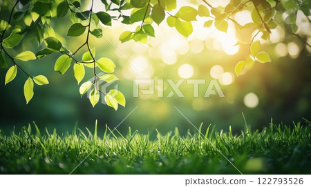 green leaves on grass background 122793526