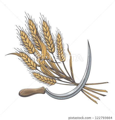 Bunch of wheat ears and sickle Bunch of wheat ears and sickle 122793664