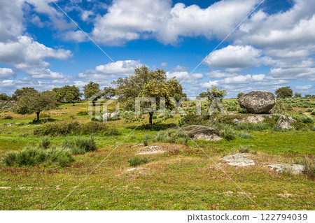 Driving with the car through the Alentejo in Portugal. Area around Nisa and Castelo de Vide Driving with the car through the Alentejo in Portugal. Area around Nisa and Castelo de Vide 122794039