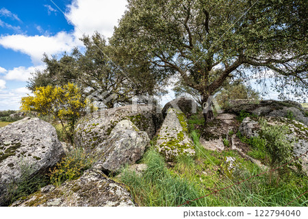 Driving with the car through the Alentejo in Portugal. Area around Nisa and Castelo de Vide Driving with the car through the Alentejo in Portugal. Area around Nisa and Castelo de Vide 122794040