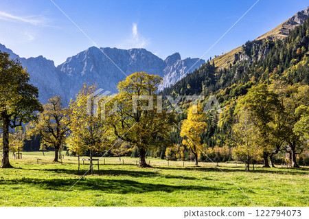 maple trees at Ahornboden, Karwendel mountains, Tyrol, Austria maple trees at Ahornboden, Karwendel mountains, Tyrol, Austria 122794073