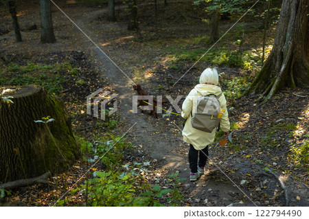 Senior woman tourist backpacker walking the Irish Setter dog in the park forest. travel concept.Back view shot Senior woman tourist backpacker walking the Irish Setter dog in the park forest. travel concept.Back view shot 122794490