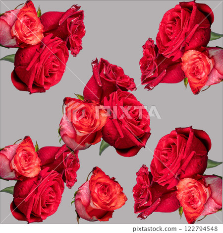 Roses on a bright background red and white. Mother's Day, birthday. 122794548