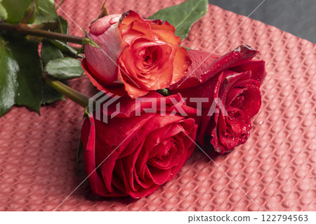 Roses on a bright background red and white. Mother's Day, birthday. Roses on a bright background red and white. Mother's Day, birthday. 122794563