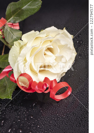 Roses on a bright background red and white. Mother's Day, birthday. Roses on a bright background red and white. Mother's Day, birthday. 122794577