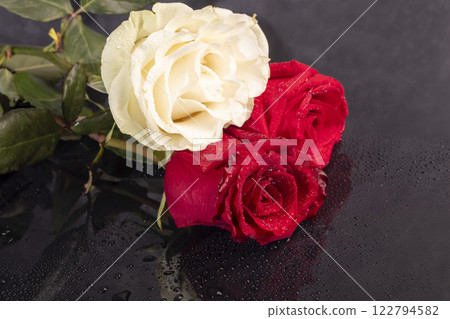 Roses on a bright background red and white. Mother's Day, birthday. 122794582