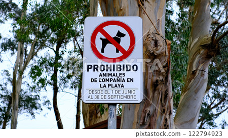 A sign that says "Prohibido" in Spanish. It is a no dog sign A sign that says "Prohibido" in Spanish. It is a no dog sign 122794923