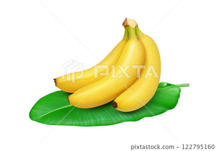 Realistic illustration of banana Realistic illustration of banana 122795160