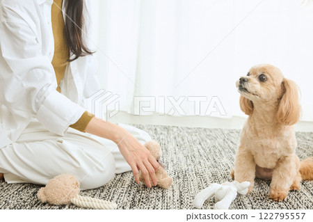 Woman playing with her dog in the living room 122795557