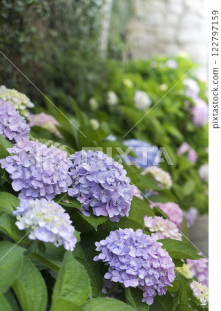 馬祖北竿芹壁村 馬祖北竿芹壁村 122797159