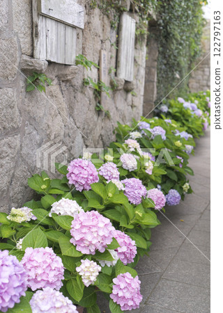 馬祖北竿芹壁村 馬祖北竿芹壁村 122797163