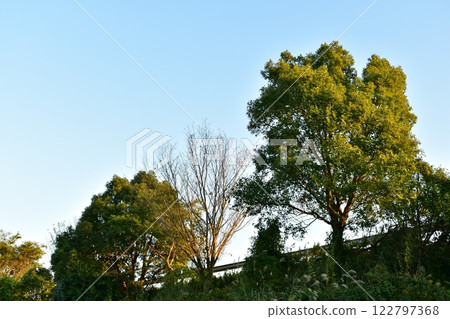 Planting trees on highway slopes Planting trees on highway slopes 122797368
