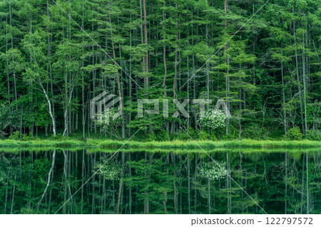 Oshika池塘（Shinabakake） 122797572