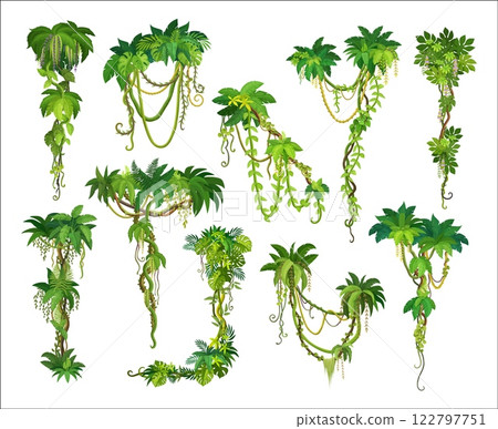 Tropical jungle rainforest vertical liana branch and leaves of ivy plants, cartoon vector set. Tropical liana or creeping jungle tree or rainforest monstera leaves and bindweed plant with tendrils Tropical jungle rainforest vertical liana branch and leaves of ivy plants, cartoon vector set. Tropical liana or creeping jungle tree or rainforest monstera leaves and bindweed plant with tendrils 122797751