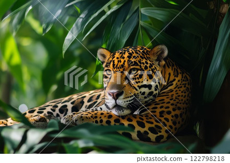Jaguar amid lush foliage observed from front. Neural network AI generated 122798218