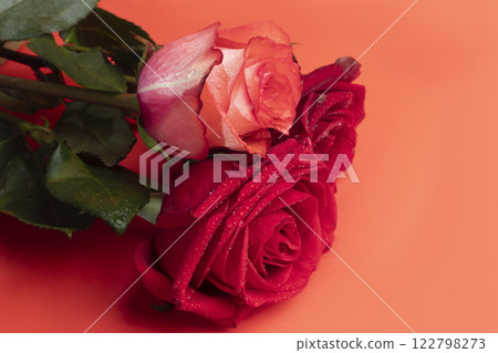 Roses on a bright background red and white. Mother's Day, birthday. 122798273