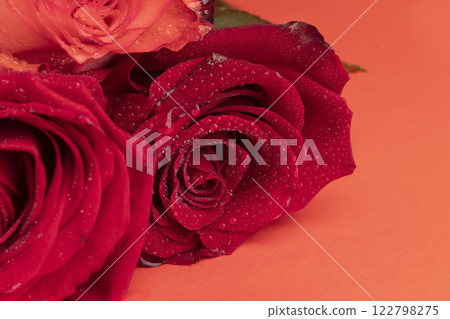 Roses on a bright background red and white. Mother's Day, birthday. Roses on a bright background red and white. Mother's Day, birthday. 122798275