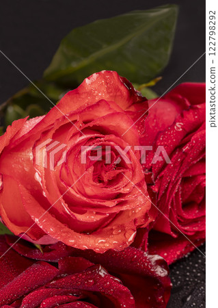 Roses on a bright background red and white. Mother's Day, birthday. Roses on a bright background red and white. Mother's Day, birthday. 122798292