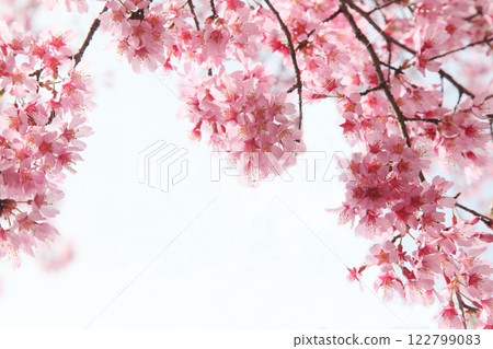 Sunshine Sunshine 122799083