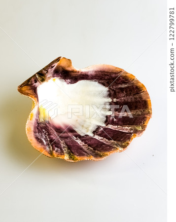 Natural shell. Sea scallop on a white background. 122799781