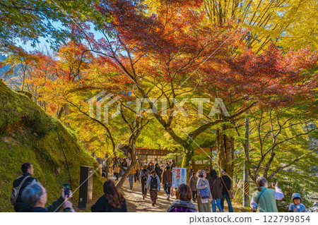 People enjoying the autumn foliage at Korankei in Toyota City (Aichi Prefecture) People enjoying the autumn foliage at Korankei in Toyota City (Aichi Prefecture) 122799854