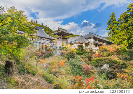 Scenery of Hokoji Temple in Hamamatsu City (Shizuoka Prefecture) surrounded by autumn leaves 122800173