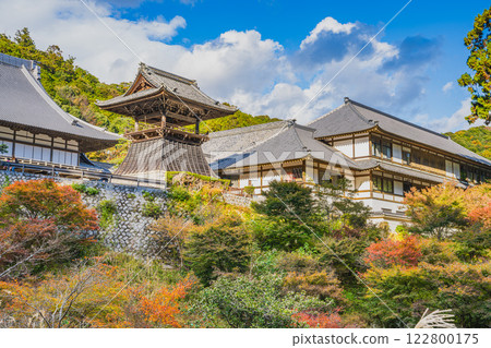 Scenery of Hokoji Temple in Hamamatsu City (Shizuoka Prefecture) surrounded by autumn leaves 122800175
