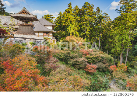 Scenery of Hokoji Temple in Hamamatsu City (Shizuoka Prefecture) surrounded by autumn leaves 122800176