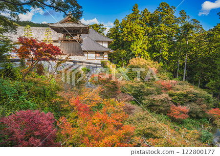 Scenery of Hokoji Temple in Hamamatsu City (Shizuoka Prefecture) surrounded by autumn leaves 122800177