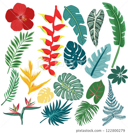 Set of tropical leaves and exotic flower. 122800279