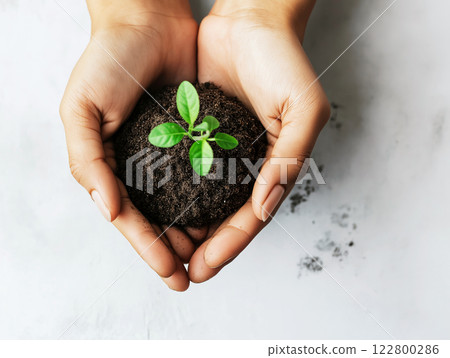 Hands holding a small green sprout in dark soil 122800286
