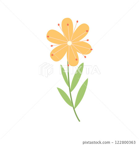 cute spring yellow flower on white background. Hand drawn flower for decor, print, clipart, sticker and easter. cute spring yellow flower on white background. Hand drawn flower for decor, print, clipart, sticker and easter. 122800363