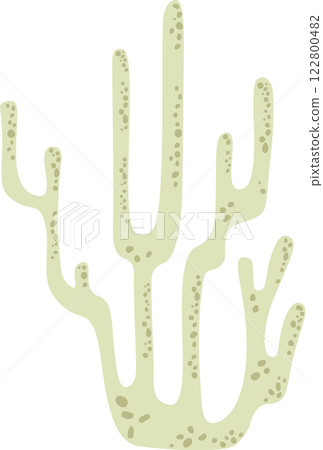Light green coral growing on the seafloor, creating a peaceful underwater scene against a clean white background, ideal for nature themed projects 122800482