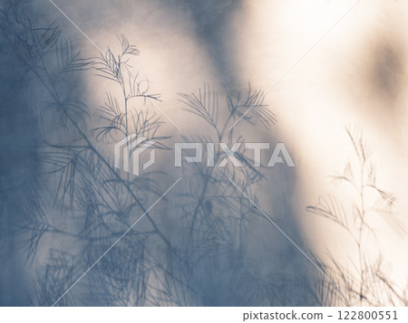 background, leaf, tree 122800551